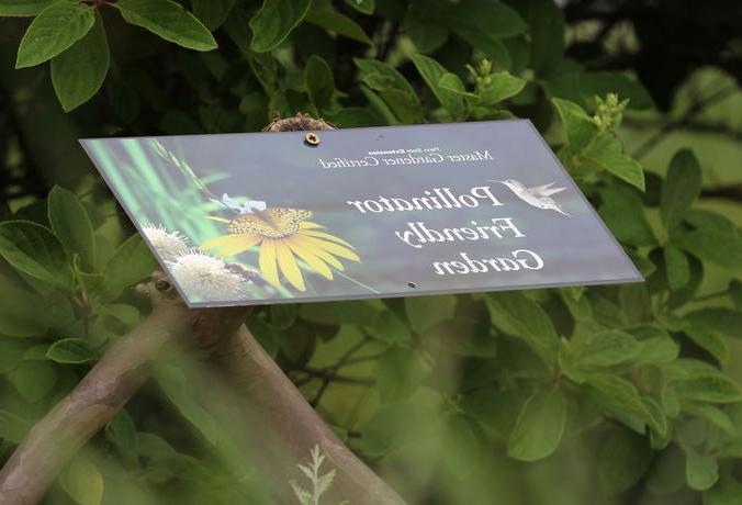 pollen friendly garden sign